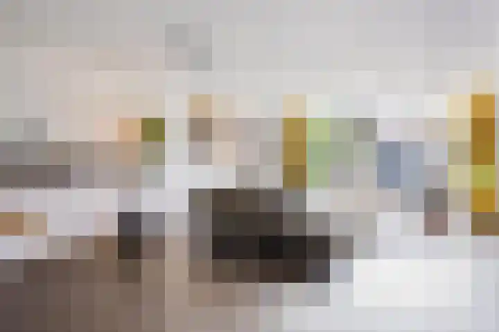 Zeggemeen 91 Harderwijk thumbnail 4