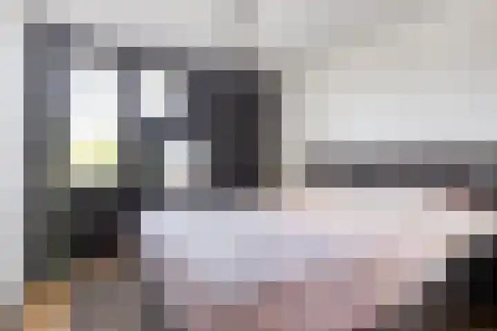 Zeggemeen 91 Harderwijk thumbnail 9