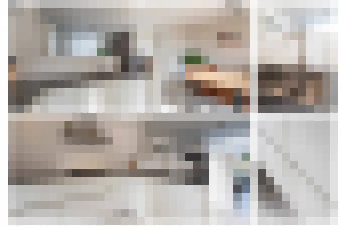 Zeggeveen 15 Oudenbosch thumbnail 14