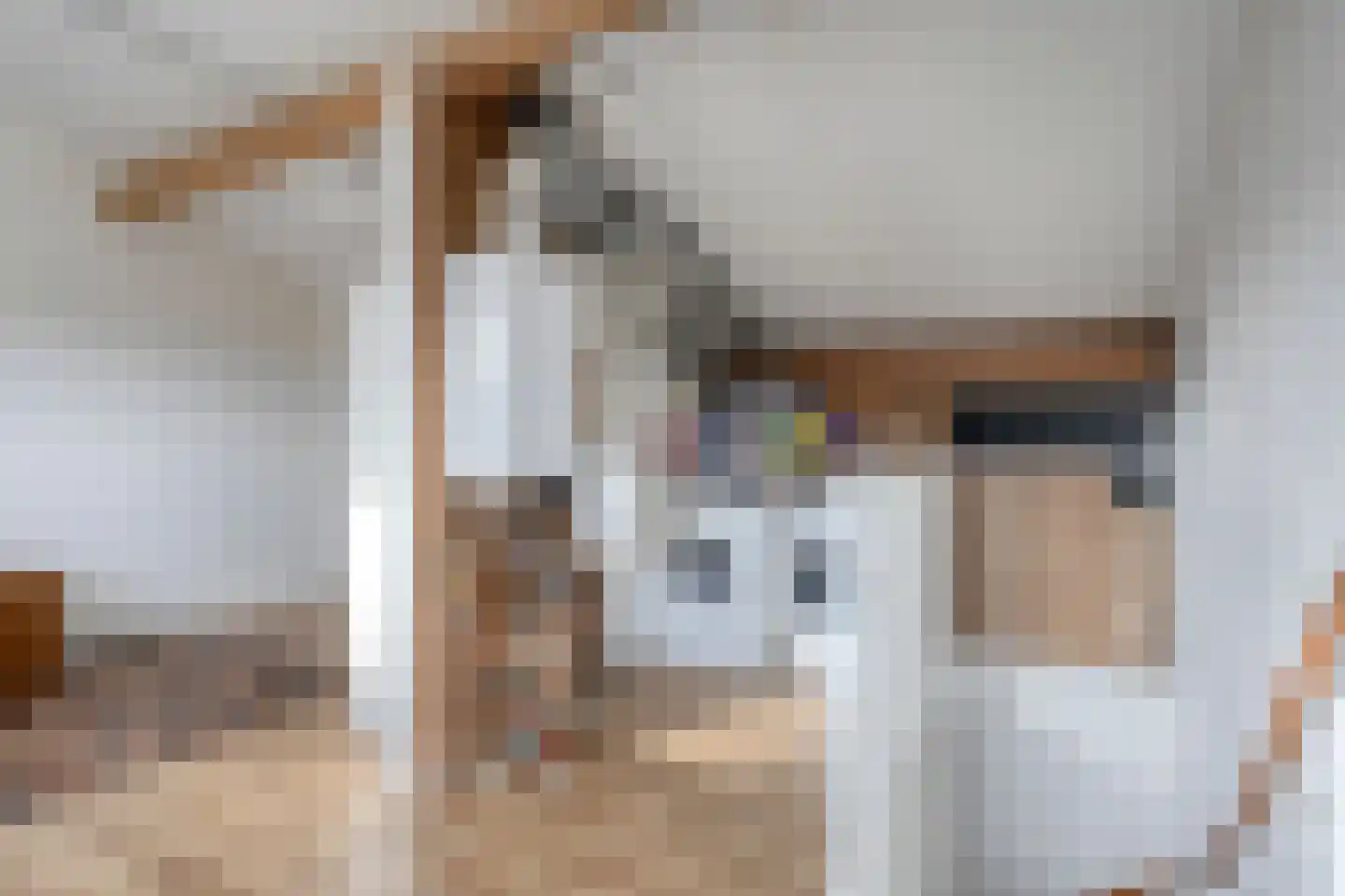 Zeggeveen 17 Wognum thumbnail 20