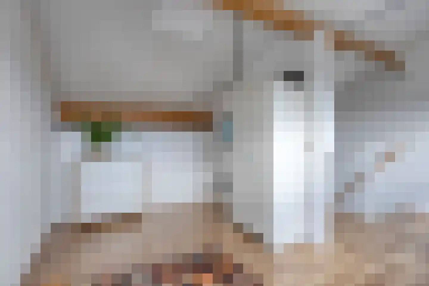 Zeggeveen 17 Wognum thumbnail 21