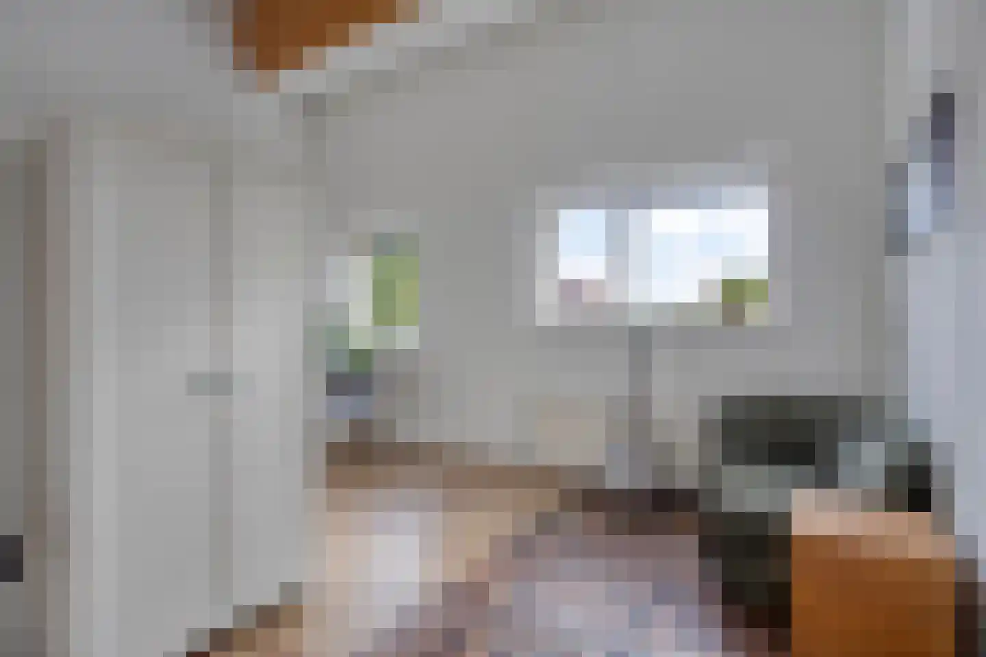 Zeggeveen 17 Wognum thumbnail 22