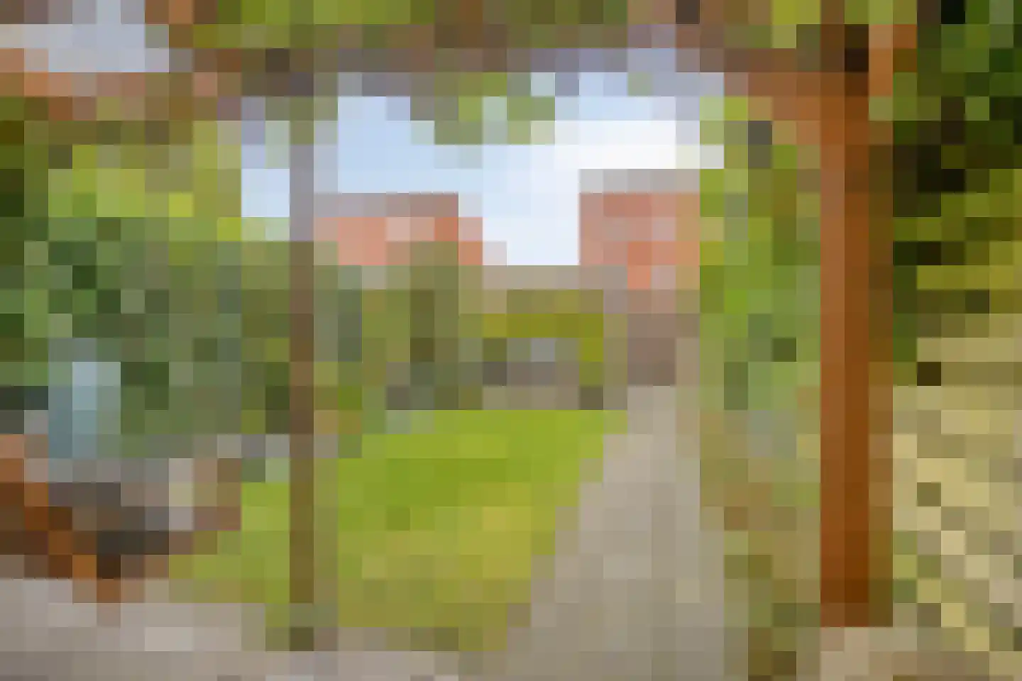 Zeggeveen 17 Wognum thumbnail 6