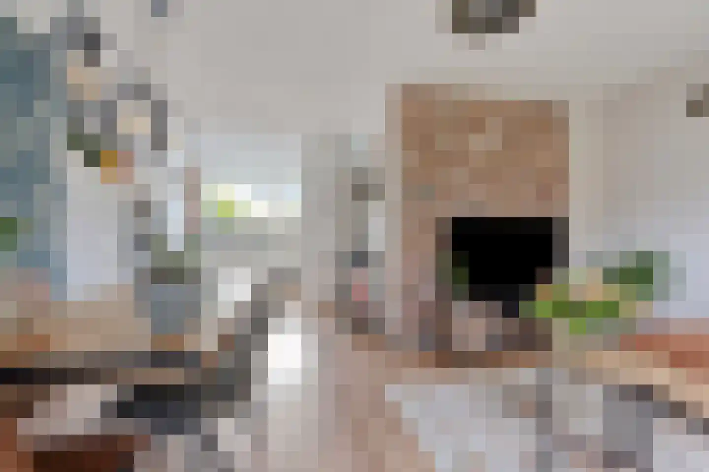 Zeggeveen 17 Wognum thumbnail 9
