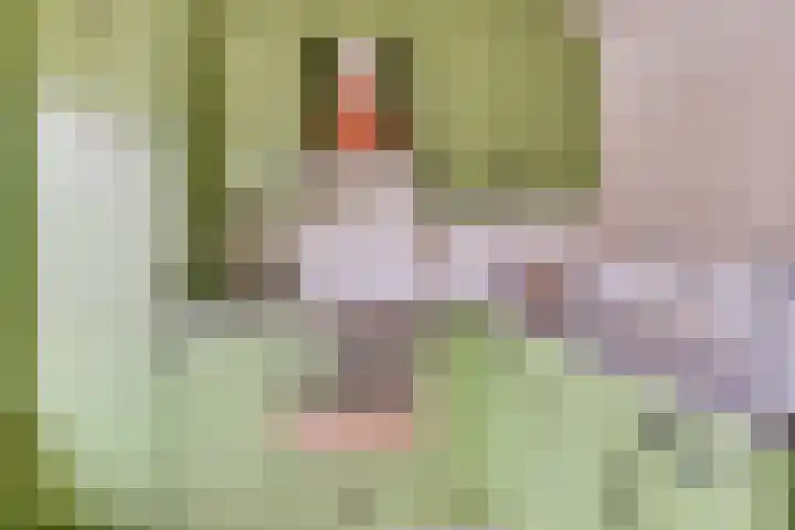 Zeggeveen 29 Wognum thumbnail 12