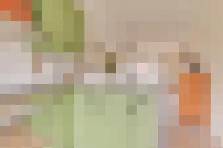 Zeggeveen 29 Wognum thumbnail 13