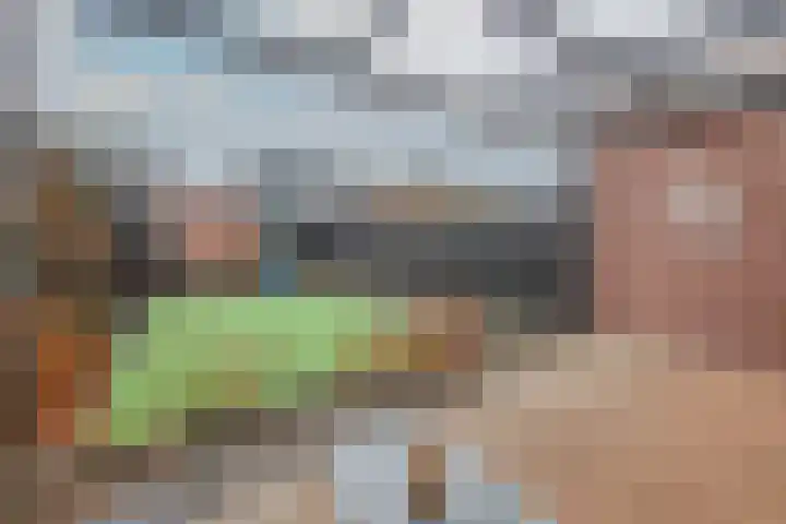 Zeggeveen 29 Wognum thumbnail 31
