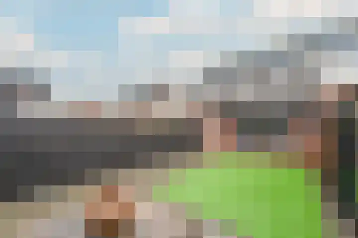 Zeggeveen 29 Wognum thumbnail 35