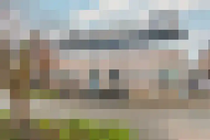 Zeggeveen 29 Wognum thumbnail 37