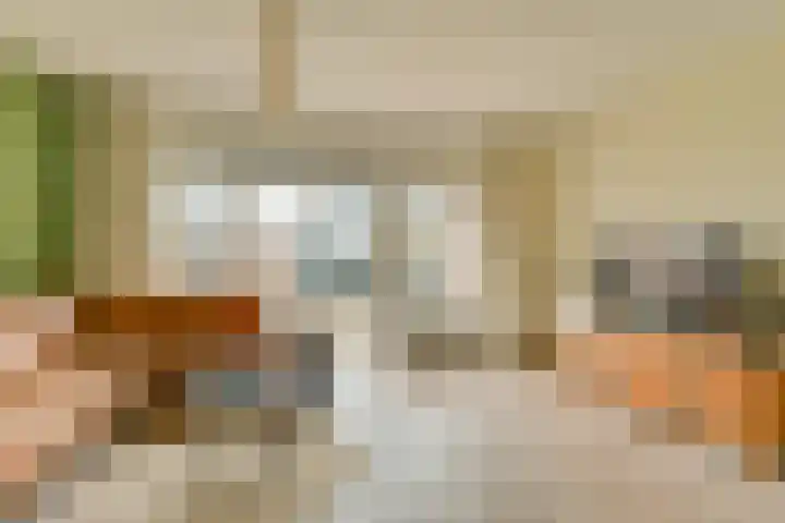 Zeggeveen 29 Wognum thumbnail 8