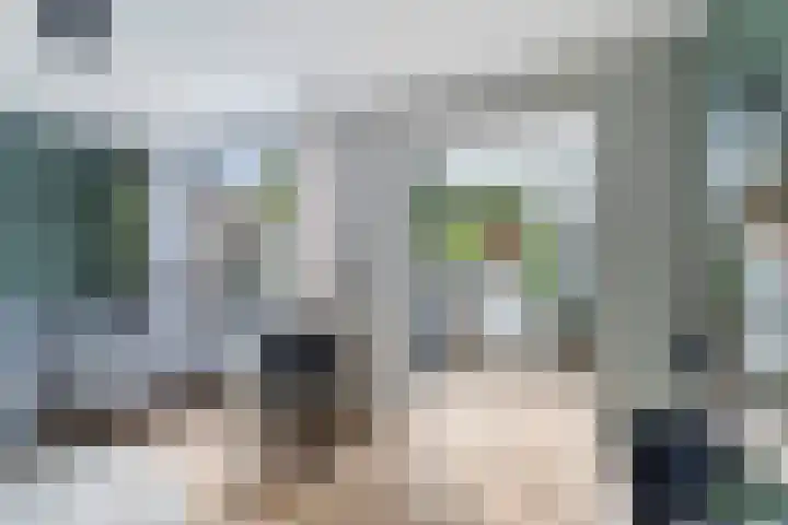 Zeggeveen 5 Ter Aar thumbnail 13