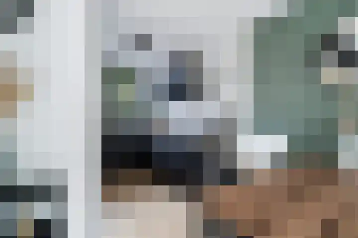 Zeggeveen 5 Ter Aar thumbnail 18
