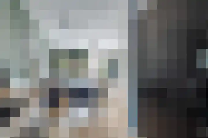Zeggeveen 5 Ter Aar thumbnail 23