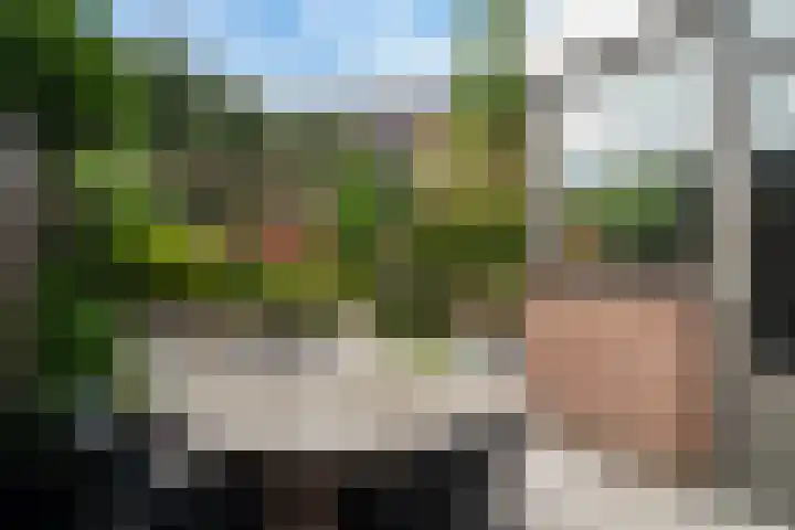 Zeggeveen 5 Ter Aar thumbnail 26