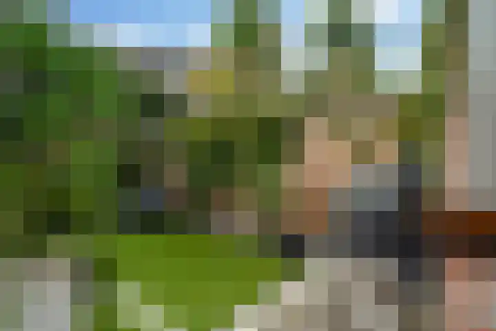 Zeggeveen 5 Ter Aar thumbnail 27