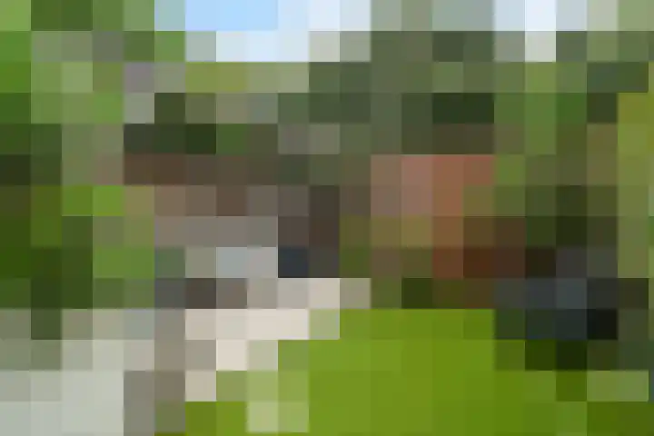 Zeggeveen 5 Ter Aar thumbnail 28