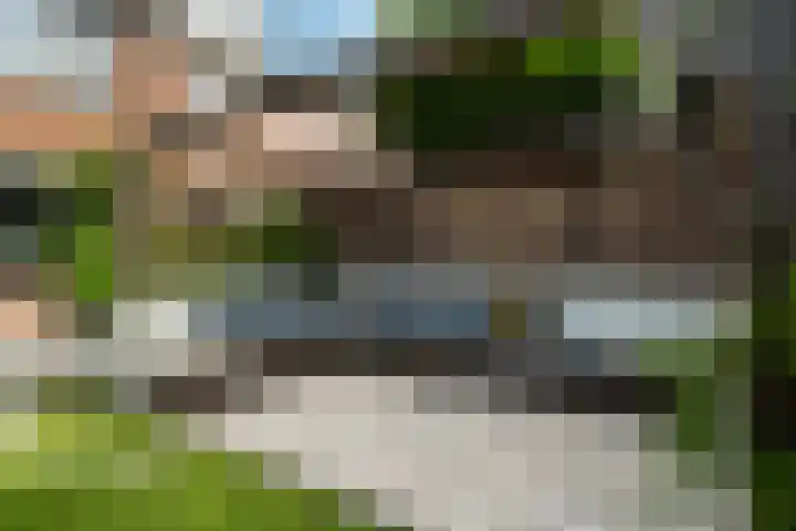 Zeggeveen 5 Ter Aar thumbnail 31