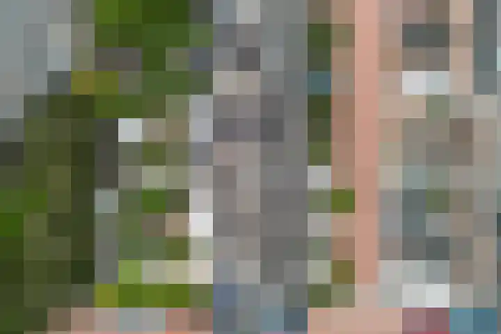 Zeggeveen 5 Ter Aar thumbnail 33