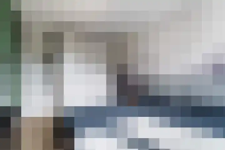 Zeggeveen 5 Ter Aar thumbnail 40