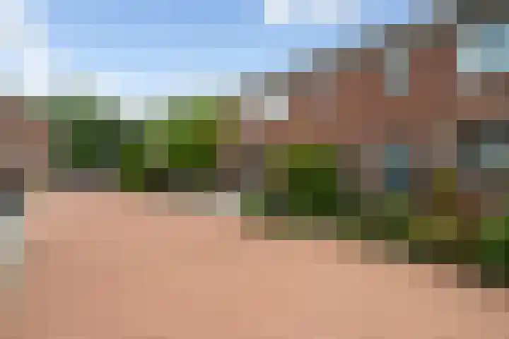 Zeggeveen 5 Ter Aar thumbnail 5