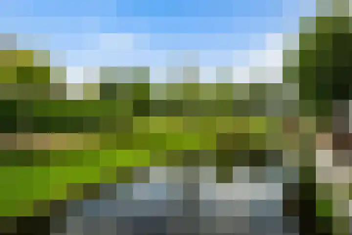 Zeggeveen 5 Ter Aar thumbnail 54