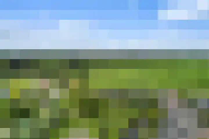 Zeggeveen 5 Ter Aar thumbnail 55