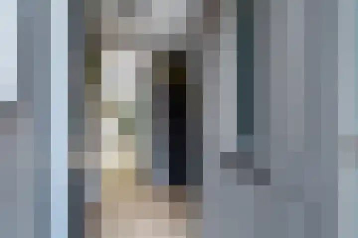 Zeggeveen 5 Ter Aar thumbnail 8