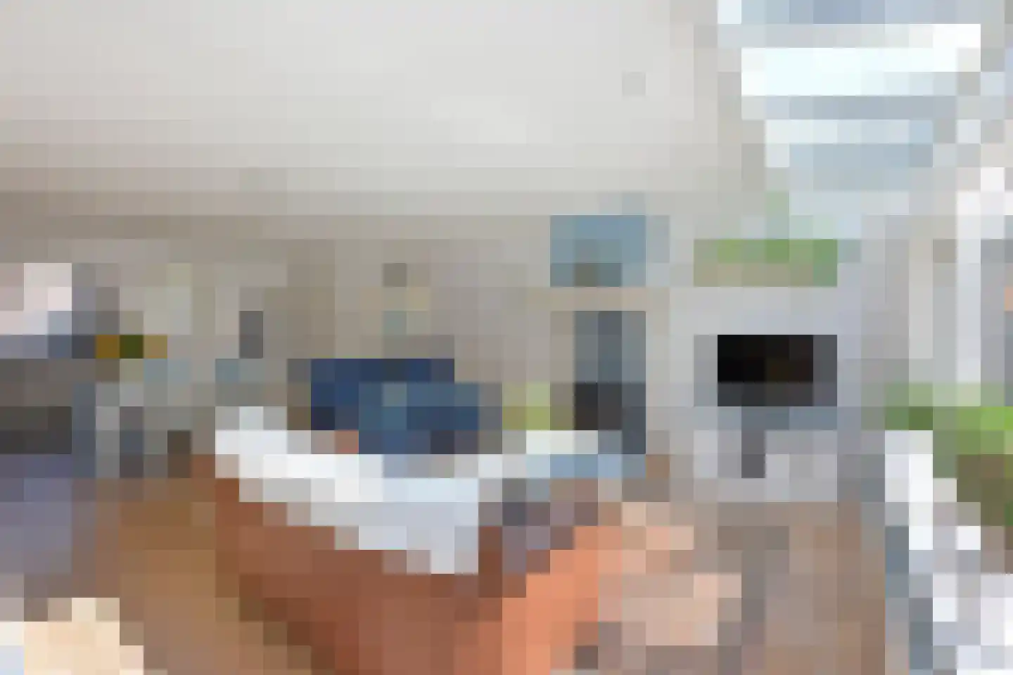 Zeggeveen 7 Ter Aar thumbnail 5