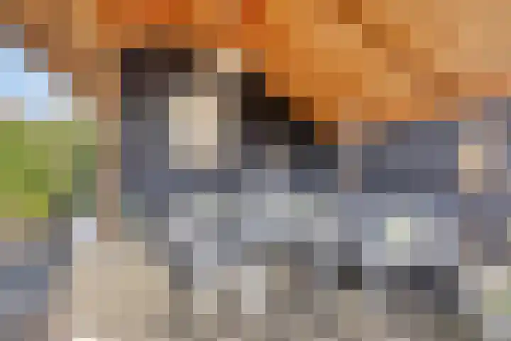 Zeggeven 20 Enschede thumbnail 39