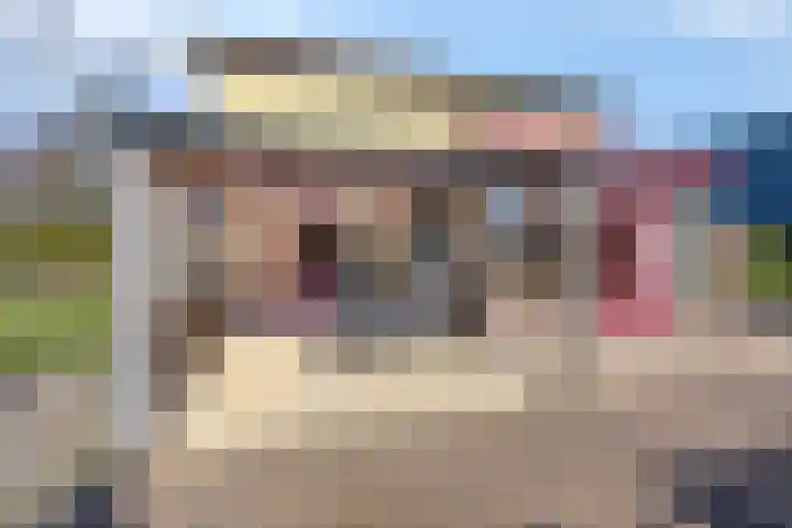 Zegheweg 36 Woudenberg thumbnail 22
