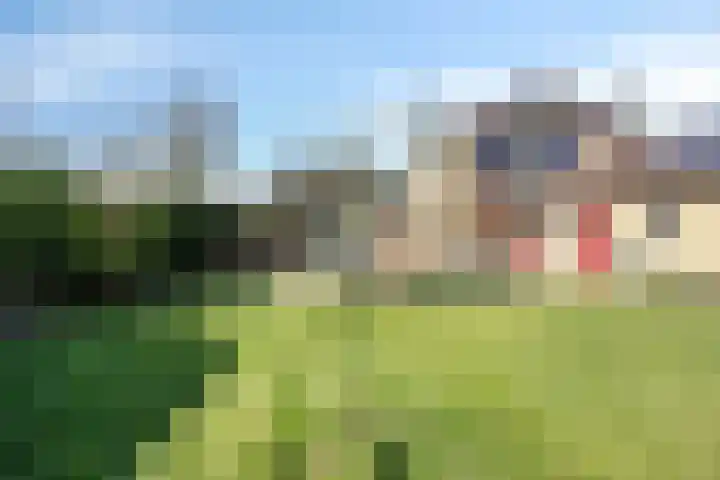 Zegheweg 36 Woudenberg thumbnail 27