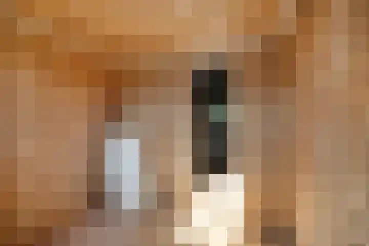 Zegheweg 36 Woudenberg thumbnail 31