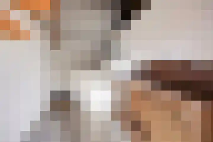 Zegheweg 36 Woudenberg thumbnail 33