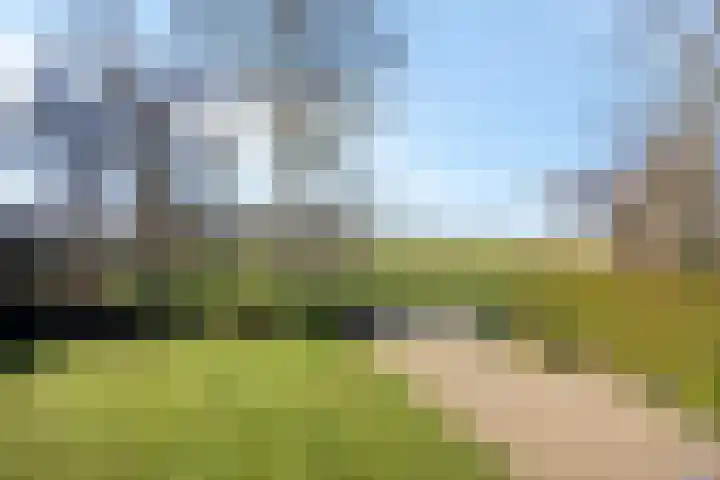 Zegheweg 36 Woudenberg thumbnail 40