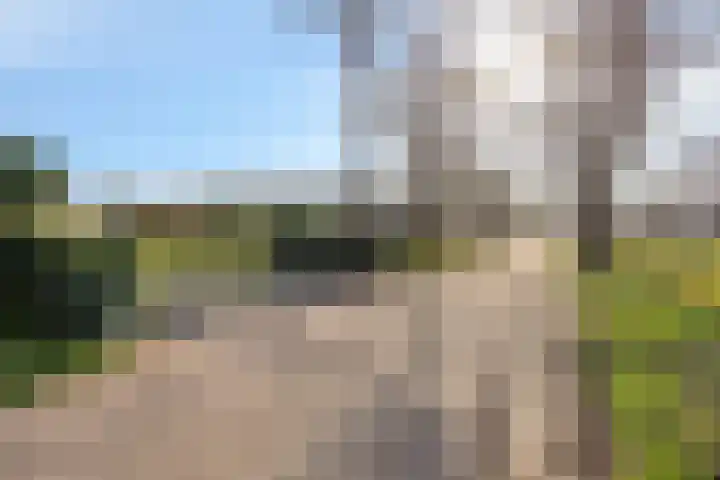 Zegheweg 36 Woudenberg thumbnail 41