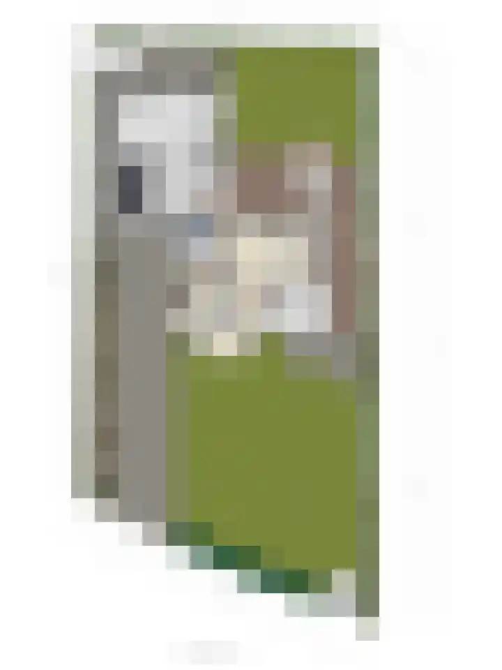 Zegheweg 36 Woudenberg thumbnail 46