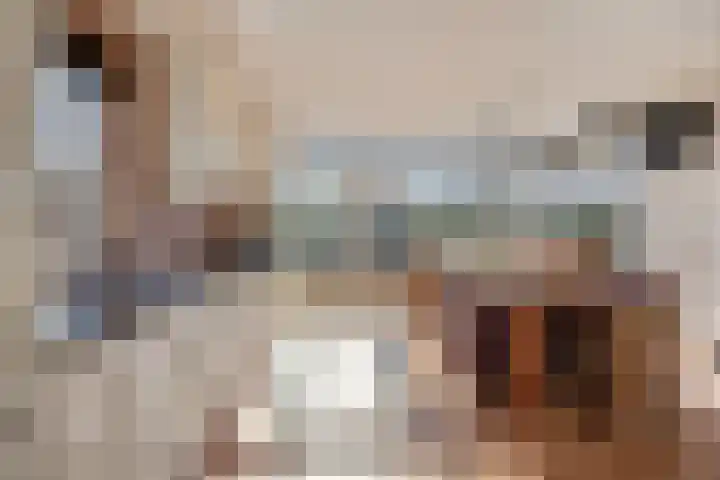 Zegheweg 36 Woudenberg thumbnail 7