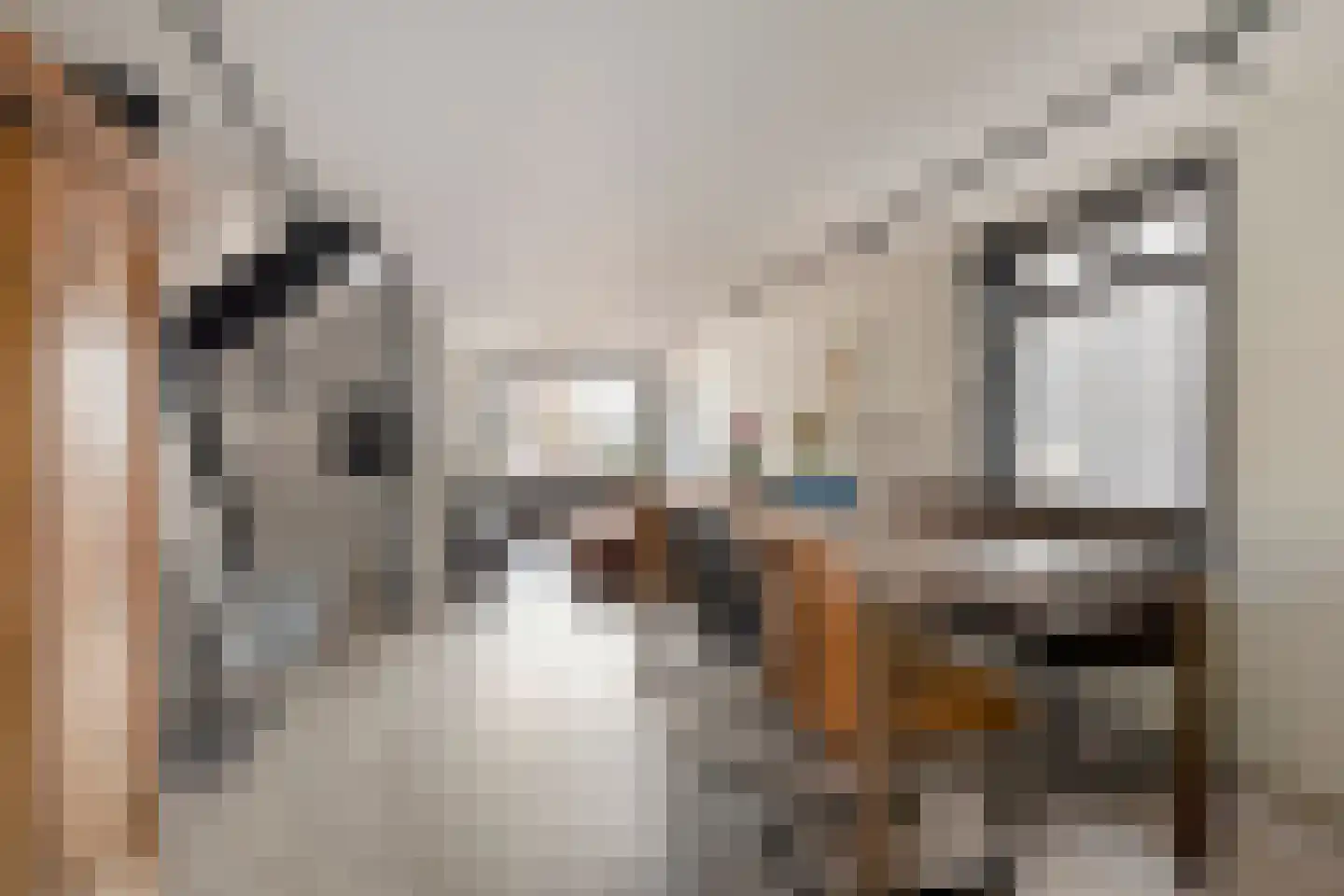 Zeglis 10 Alkmaar thumbnail 13