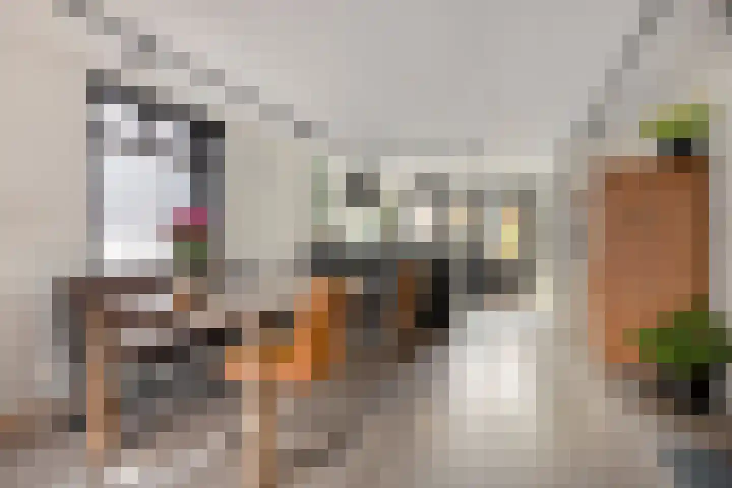 Zeglis 10 Alkmaar thumbnail 17