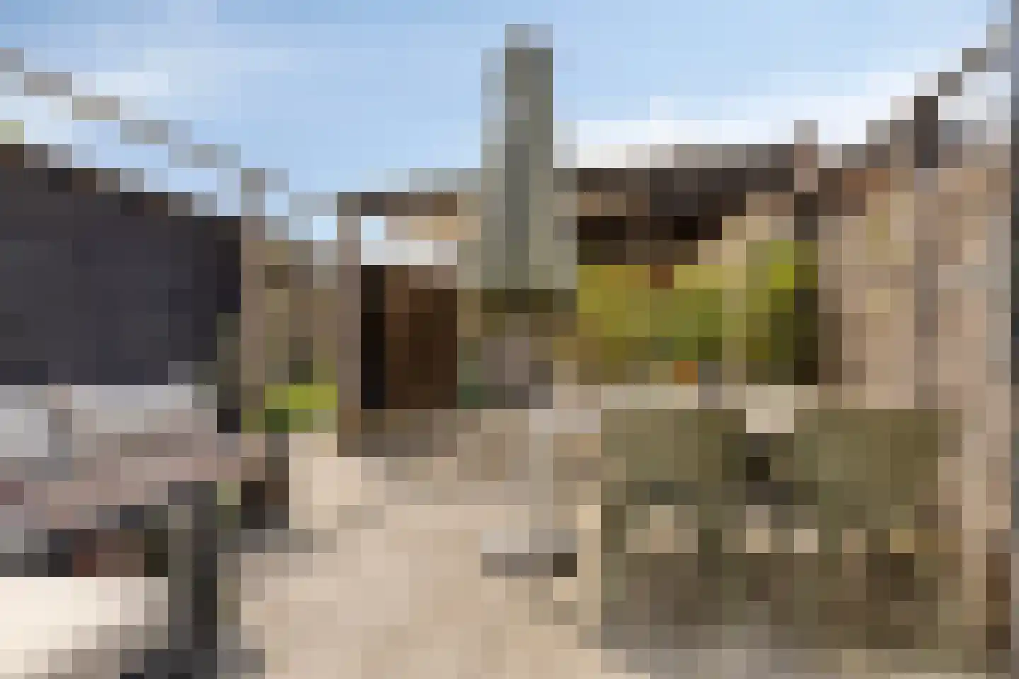 Zeglis 10 Alkmaar thumbnail 24