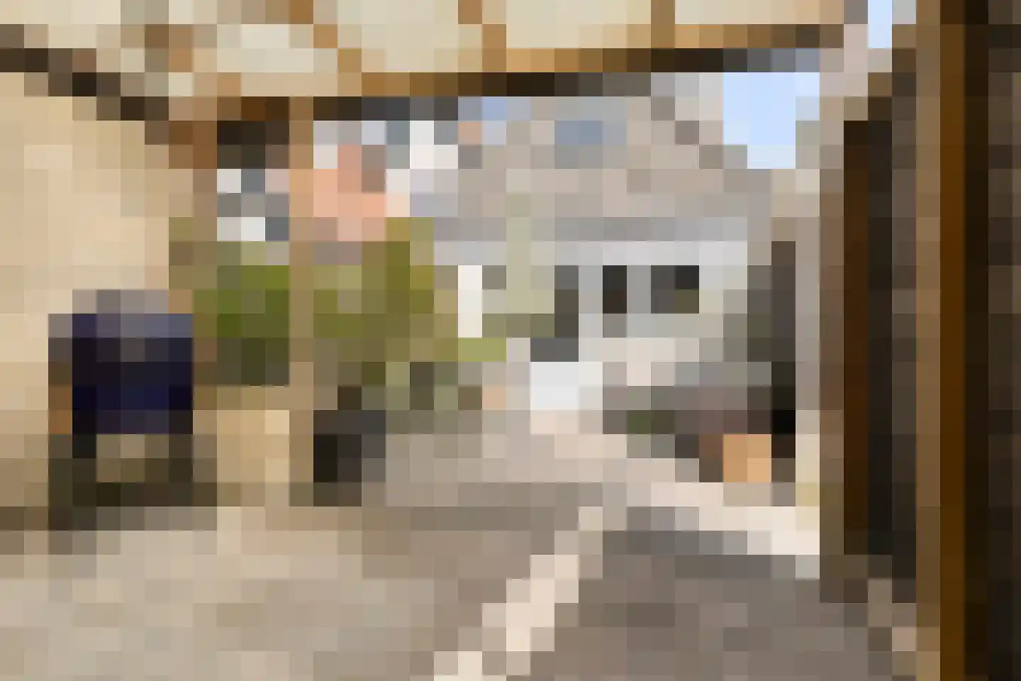 Zeglis 10 Alkmaar thumbnail 25