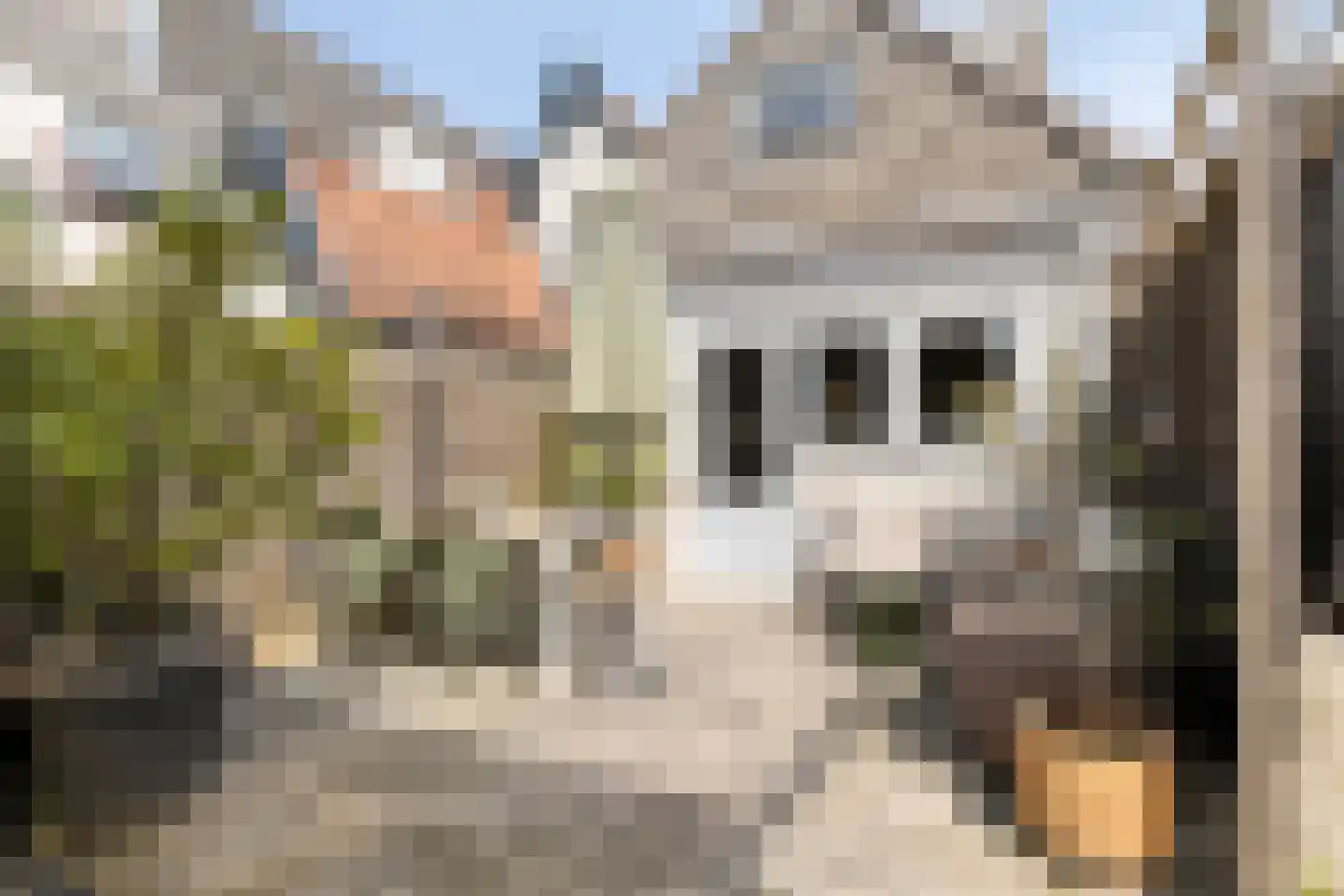 Zeglis 10 Alkmaar thumbnail 26