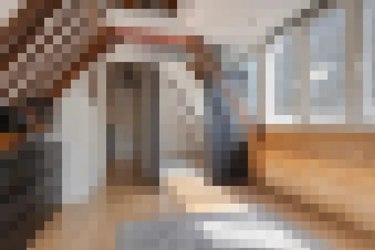 Zeglis 10 Alkmaar thumbnail 35