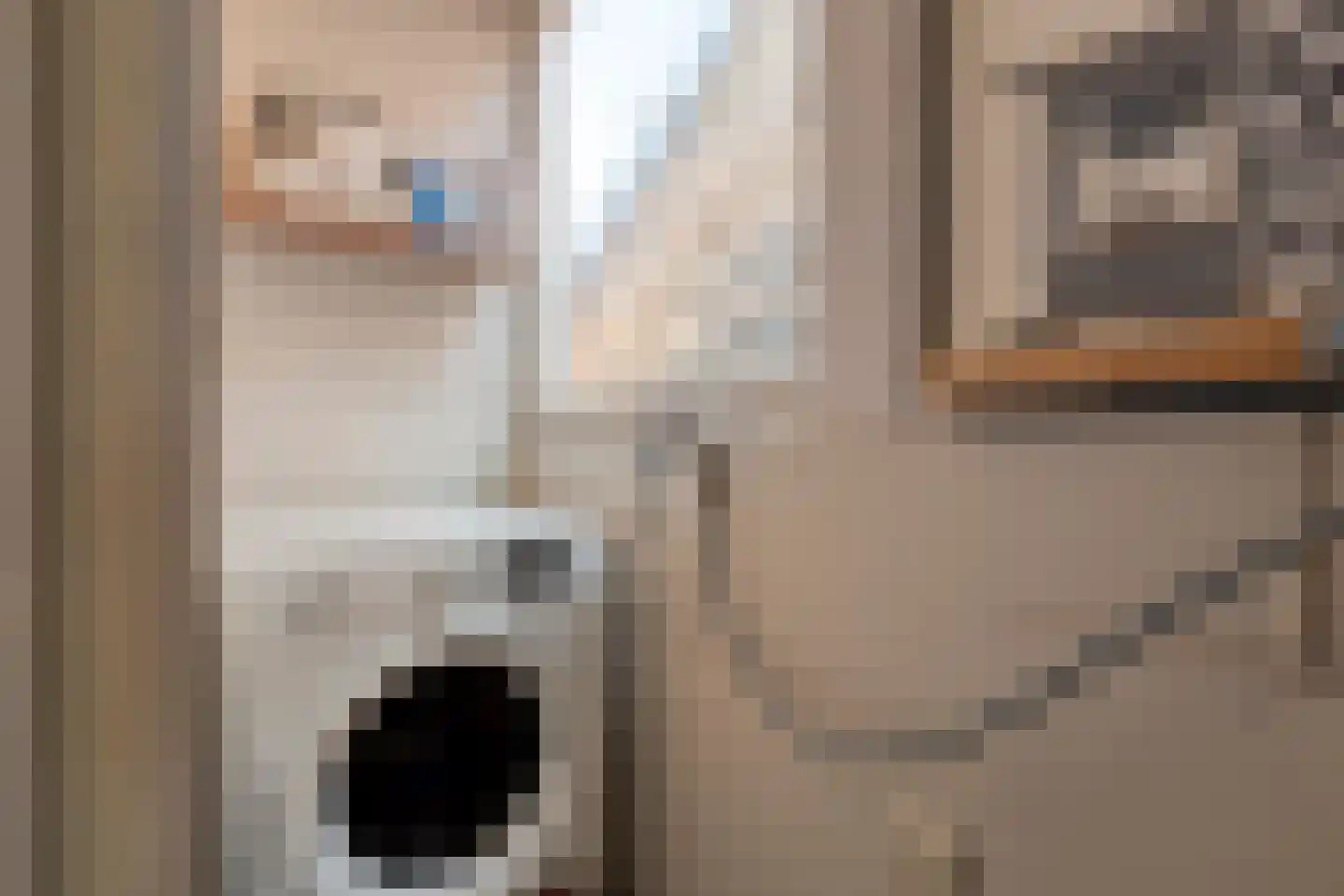 Zeglis 10 Alkmaar thumbnail 36