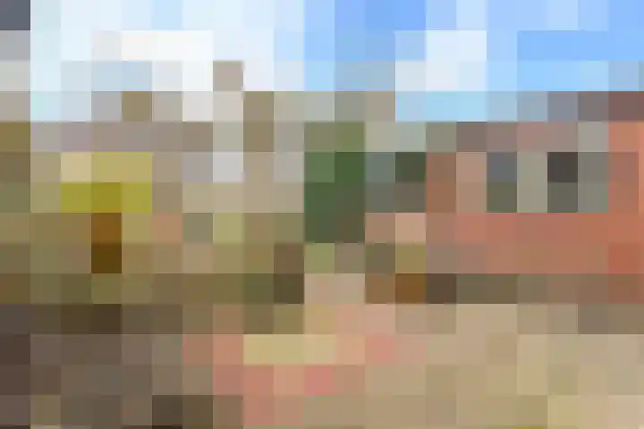 Zeglis 36 Alkmaar thumbnail 37