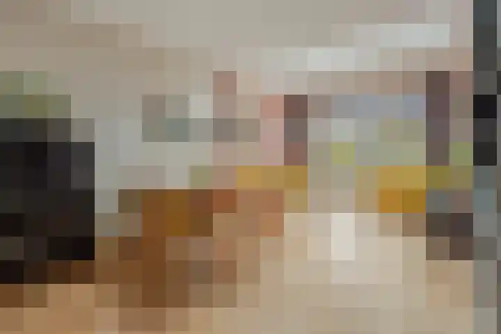 Zeglis 36 Alkmaar thumbnail 8