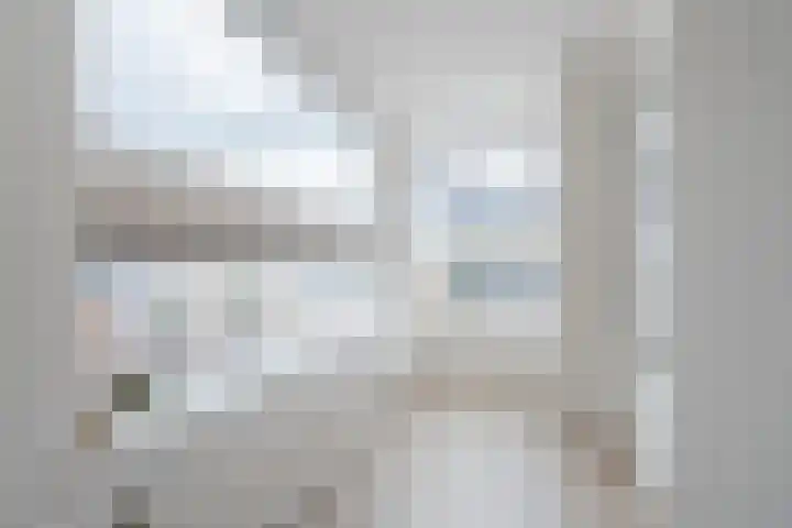 Zeglis 4 Alkmaar thumbnail 12