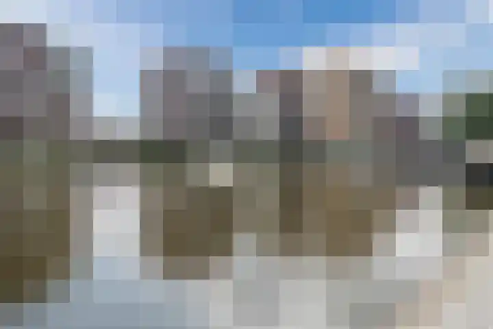 Zeglis 4 Alkmaar thumbnail 22