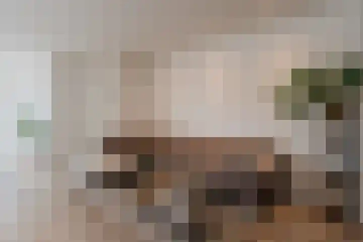 Zeglis 4 Alkmaar thumbnail 4