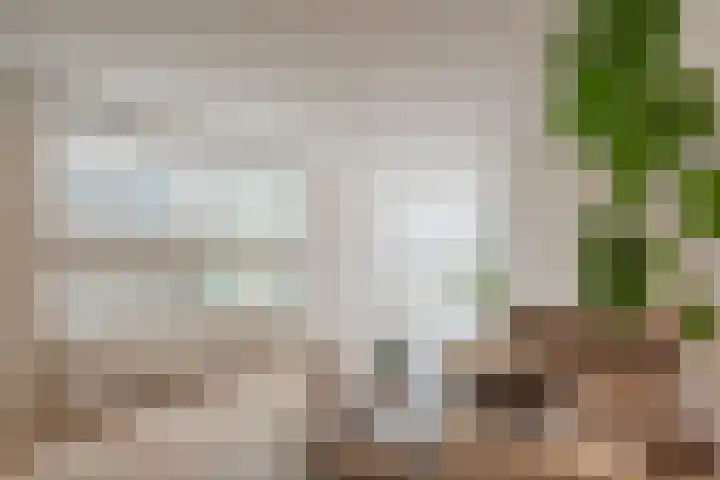 Zeglis 4 Alkmaar thumbnail 5